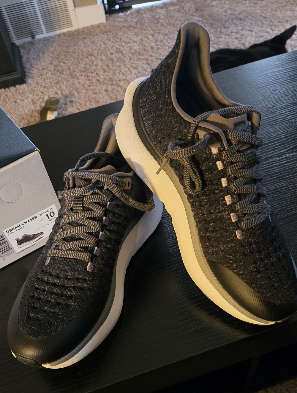 Rabbit Dream Chaser Women's Size 10